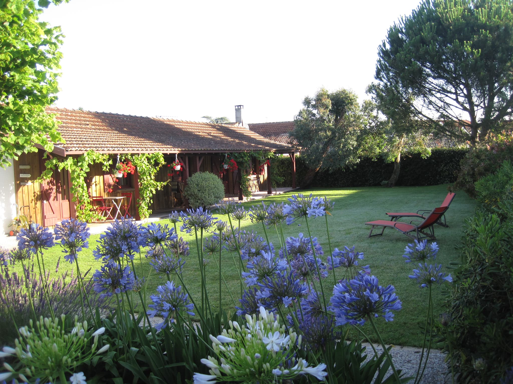 Jardin