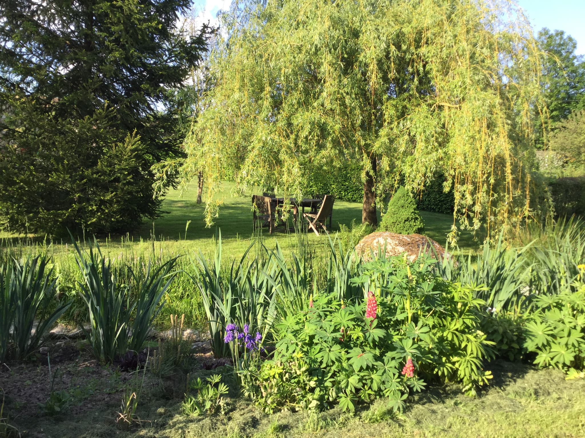 Jardin