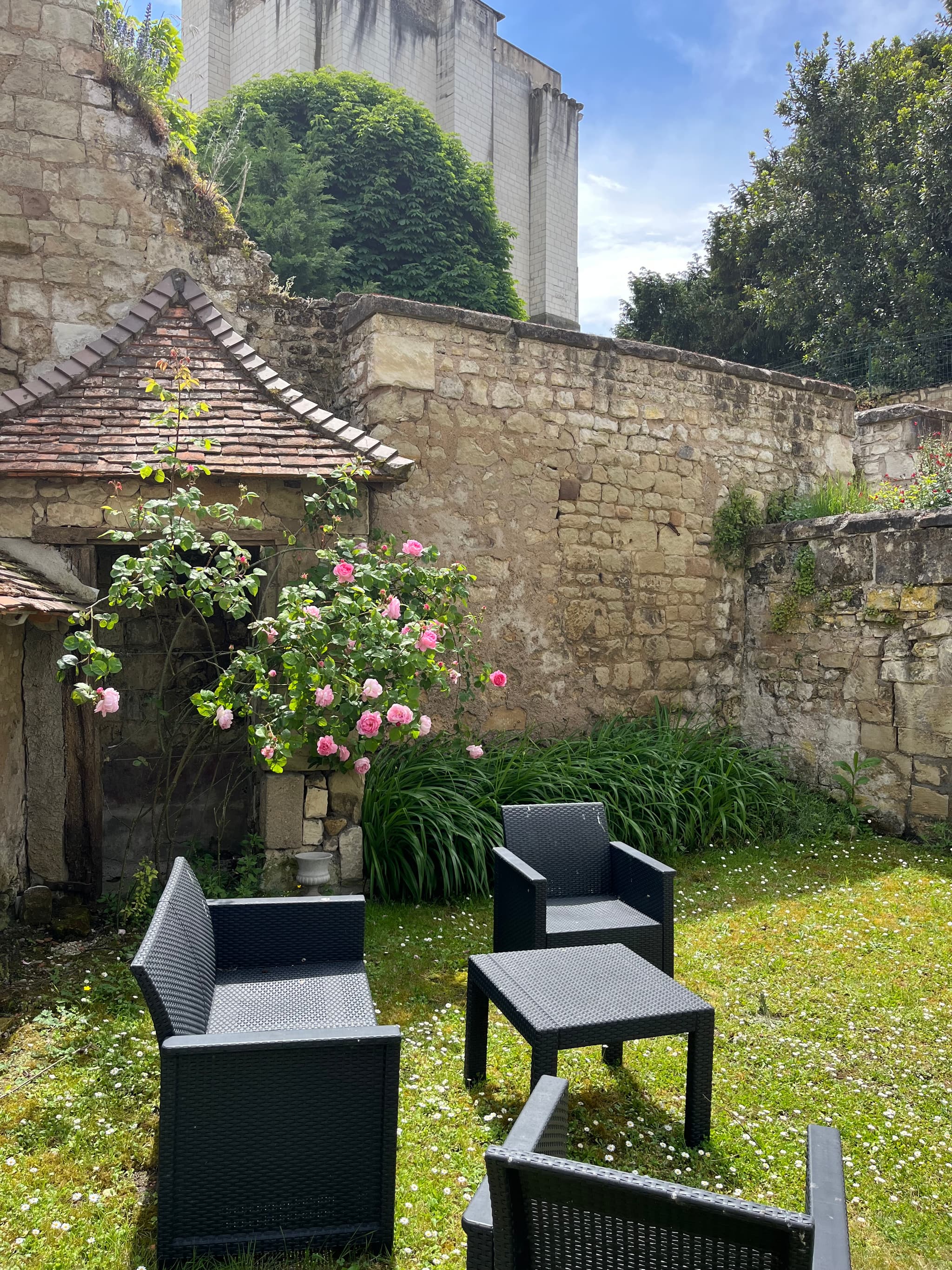 IMG_3952