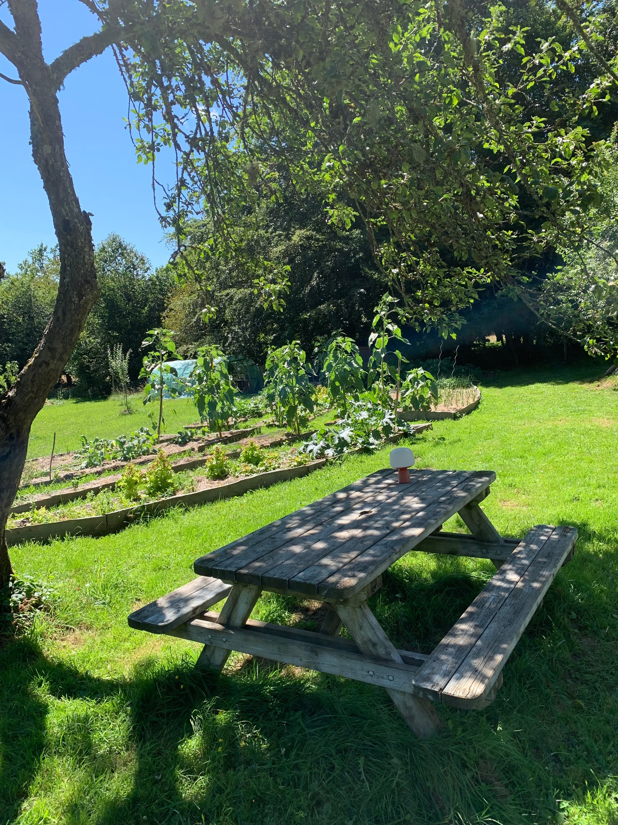 table pique nique au bord du jardin perma