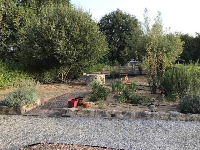 IMG_4146