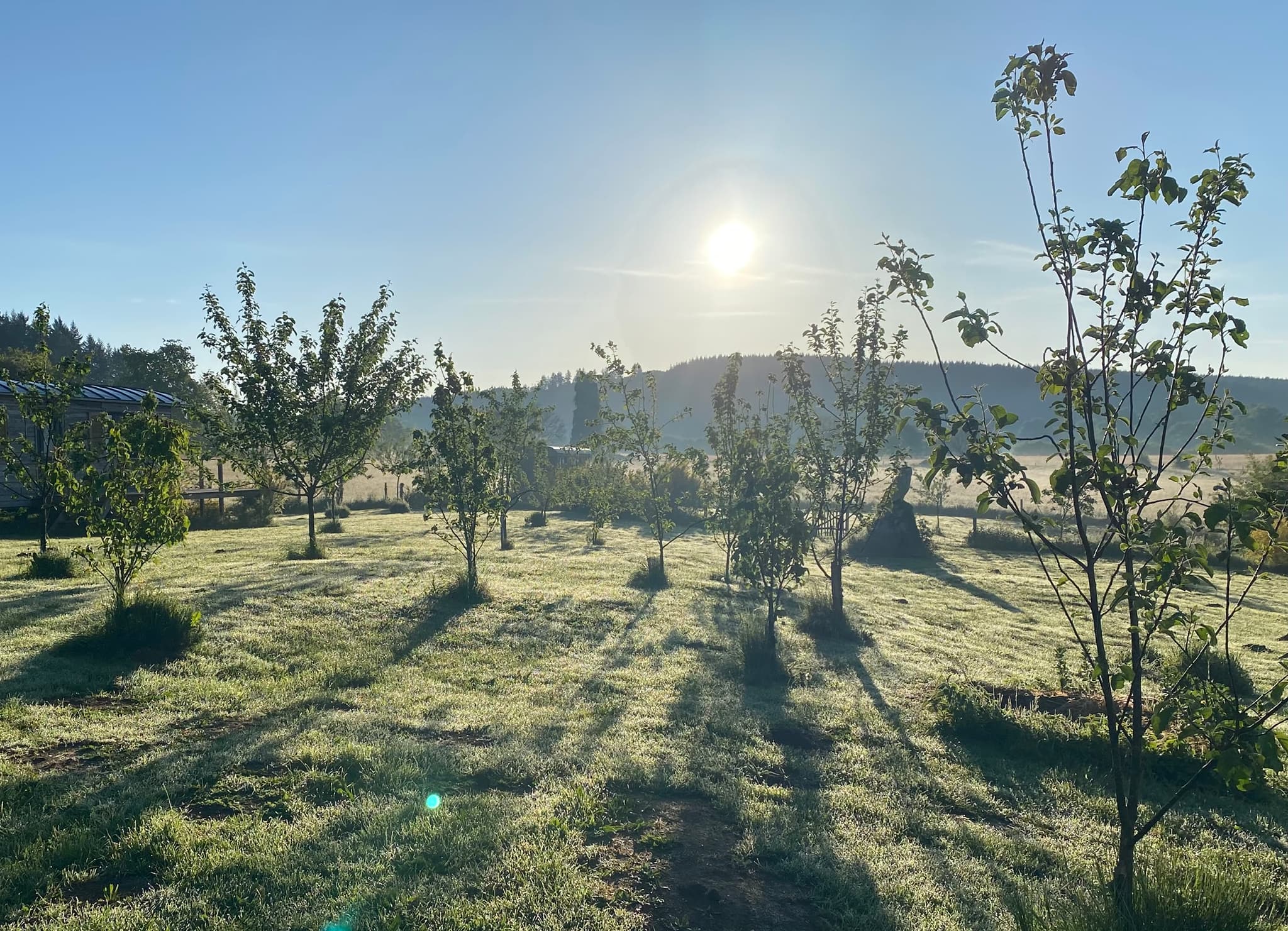 Roulotte du Verger, vue sur le verger
