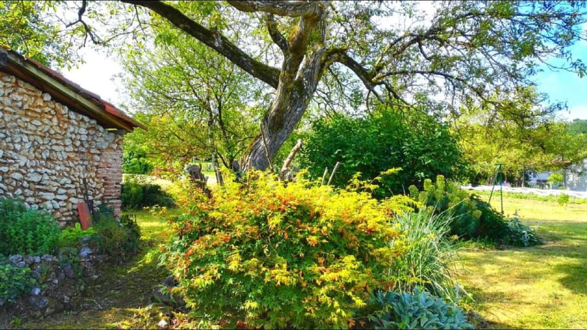 un petit coin de verdure
