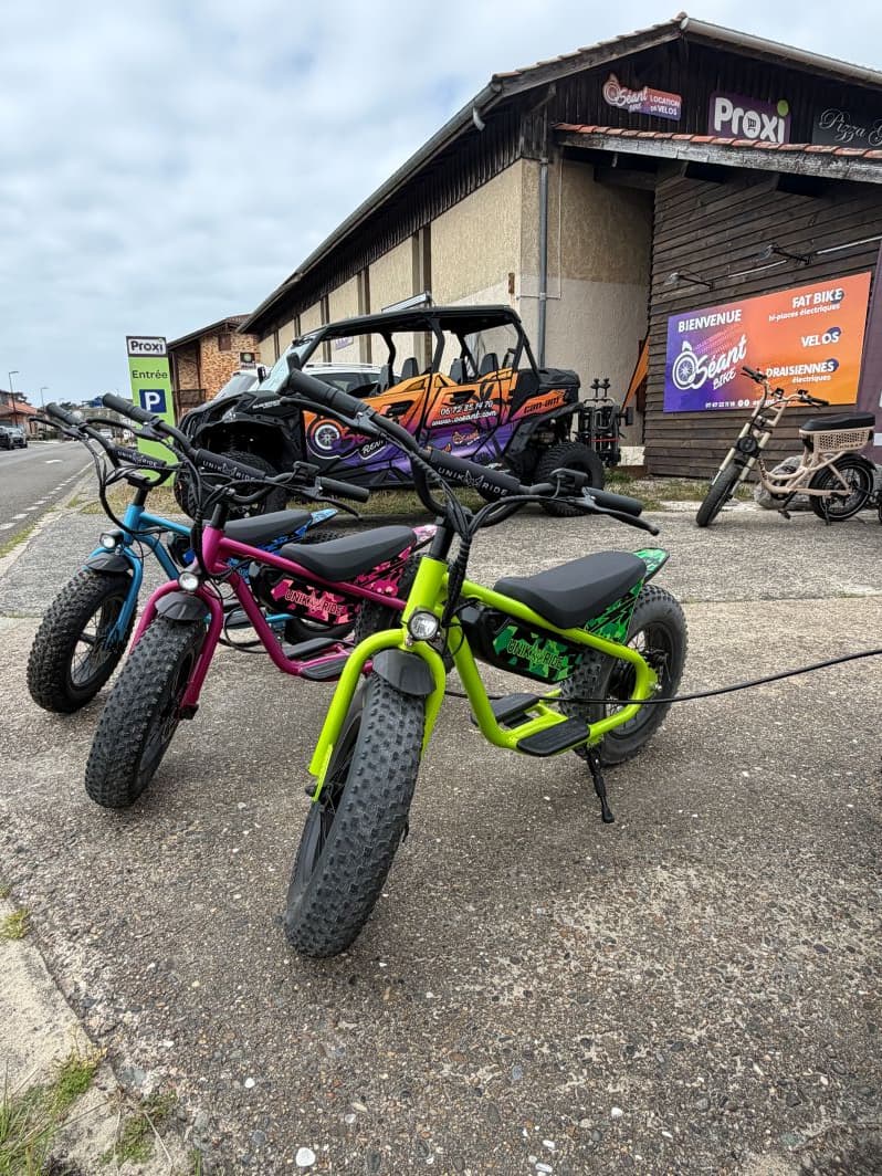 Ô Séant rent & bike_Soustons_Landes Atlantique Sud