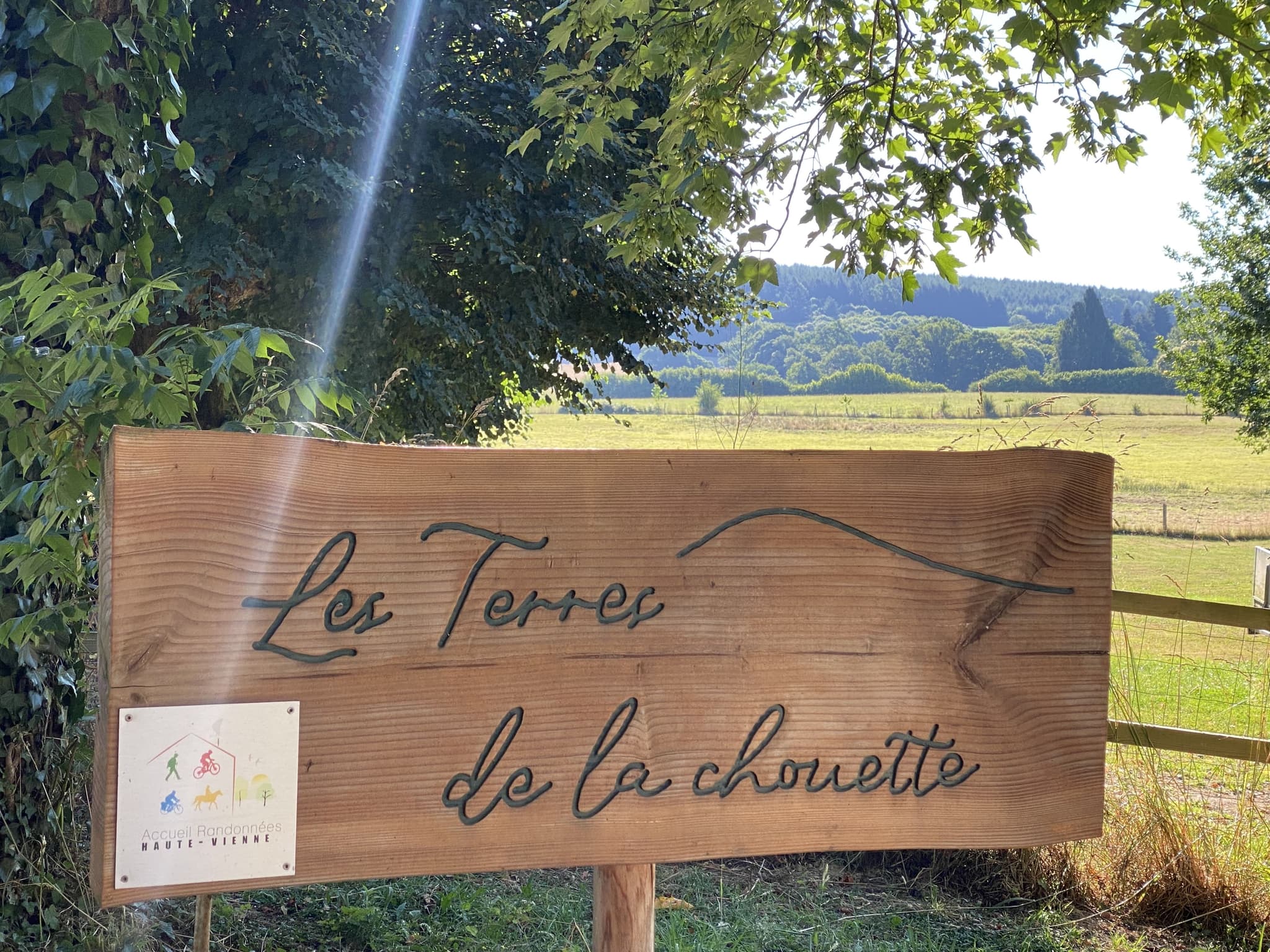 Arrivée sur les terres de la chouette