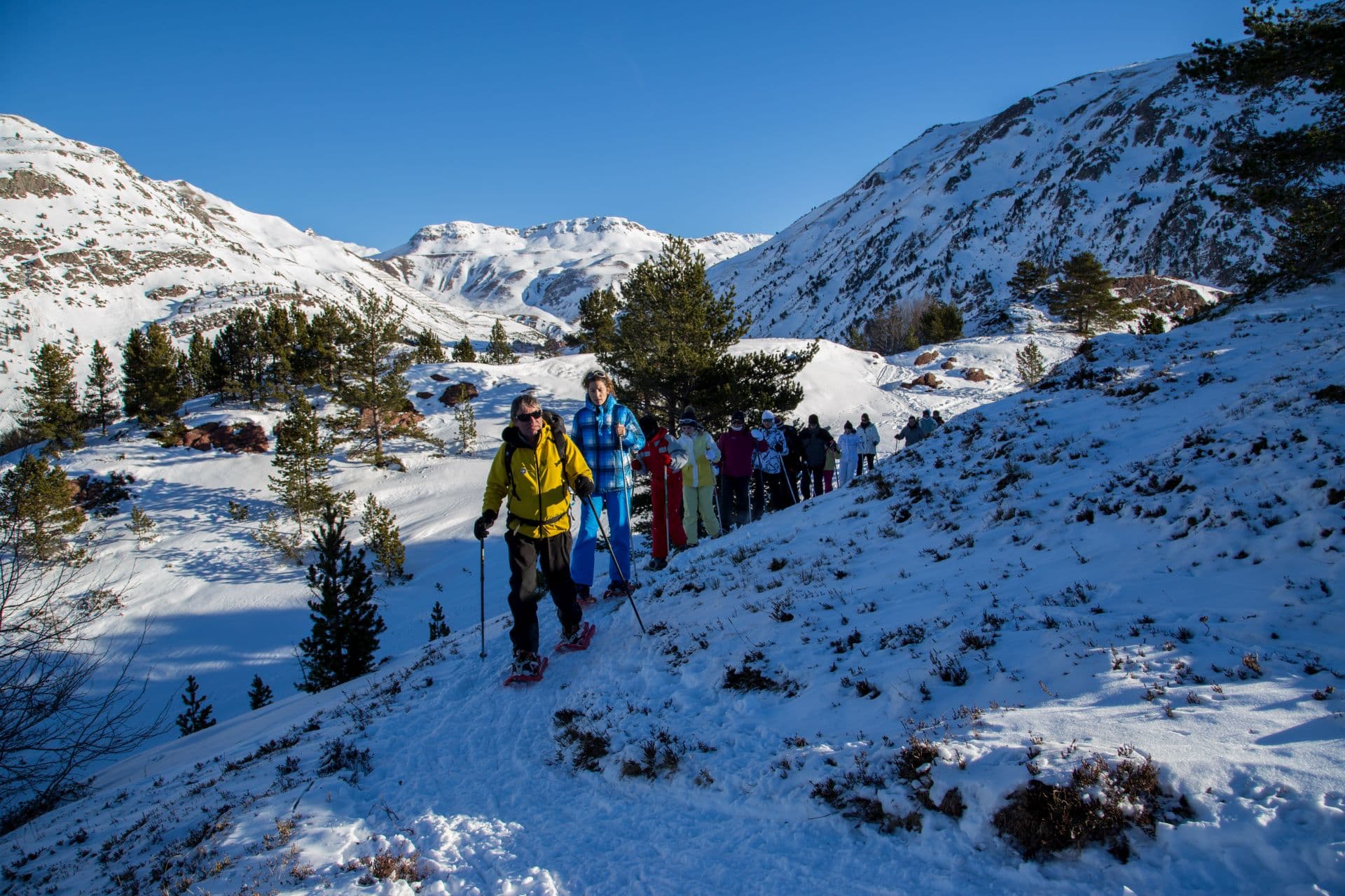 Sortie raquettes à neige
