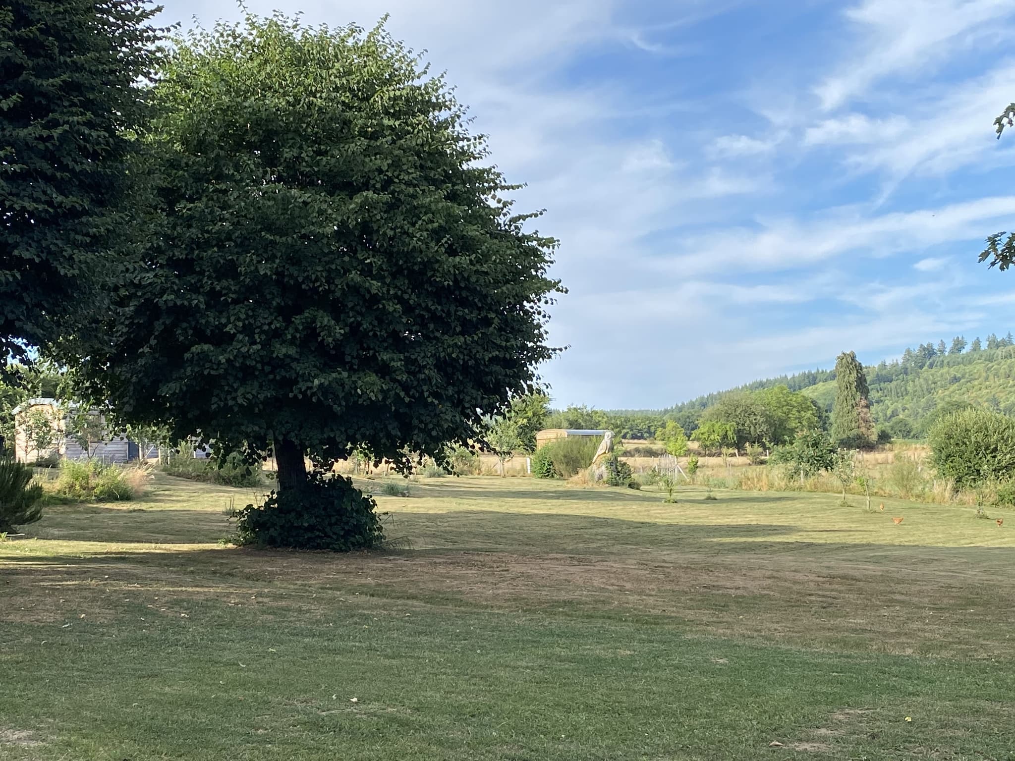 Vue depuis la terrasse