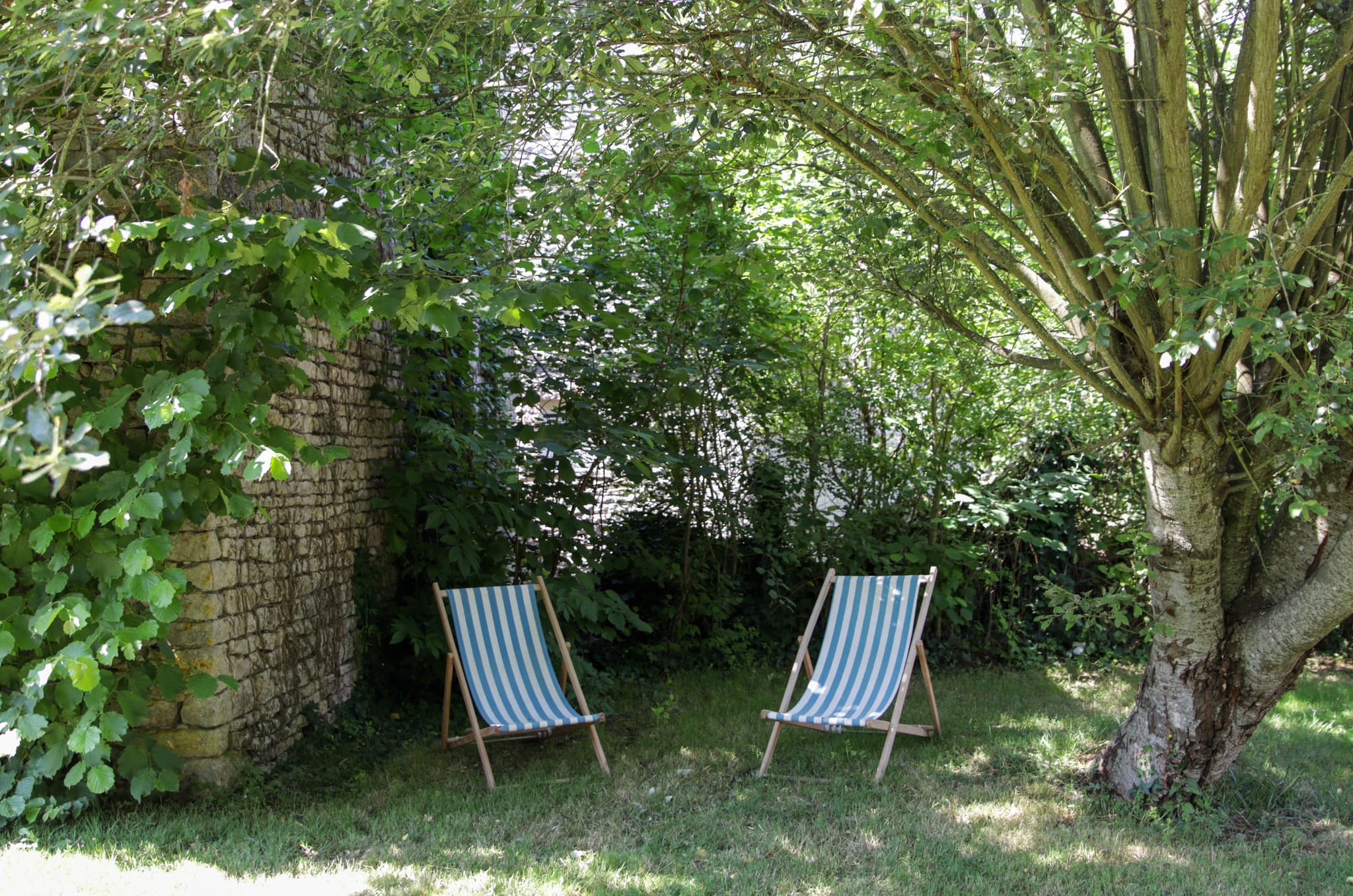 Le jardin