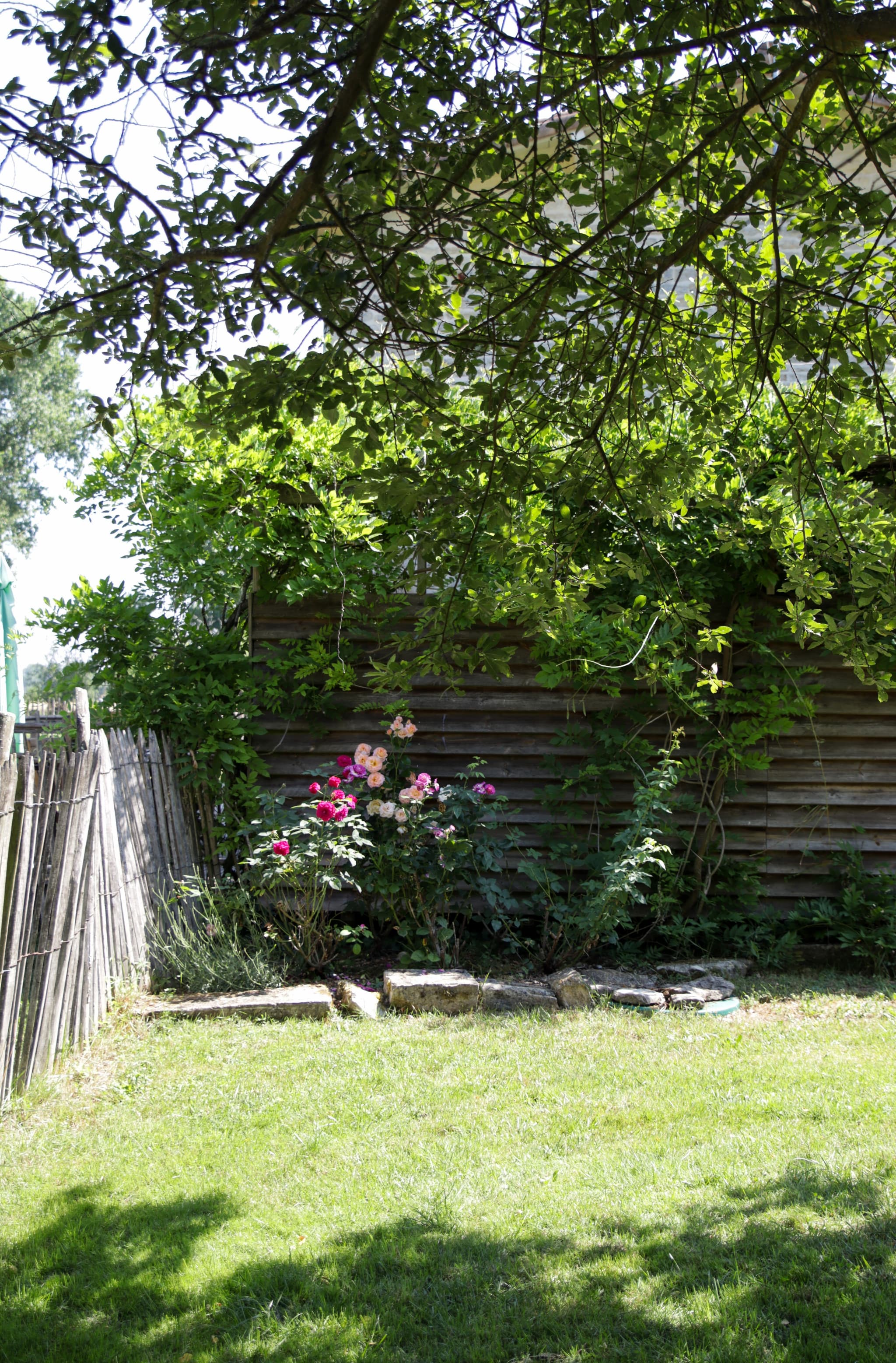 Le jardin