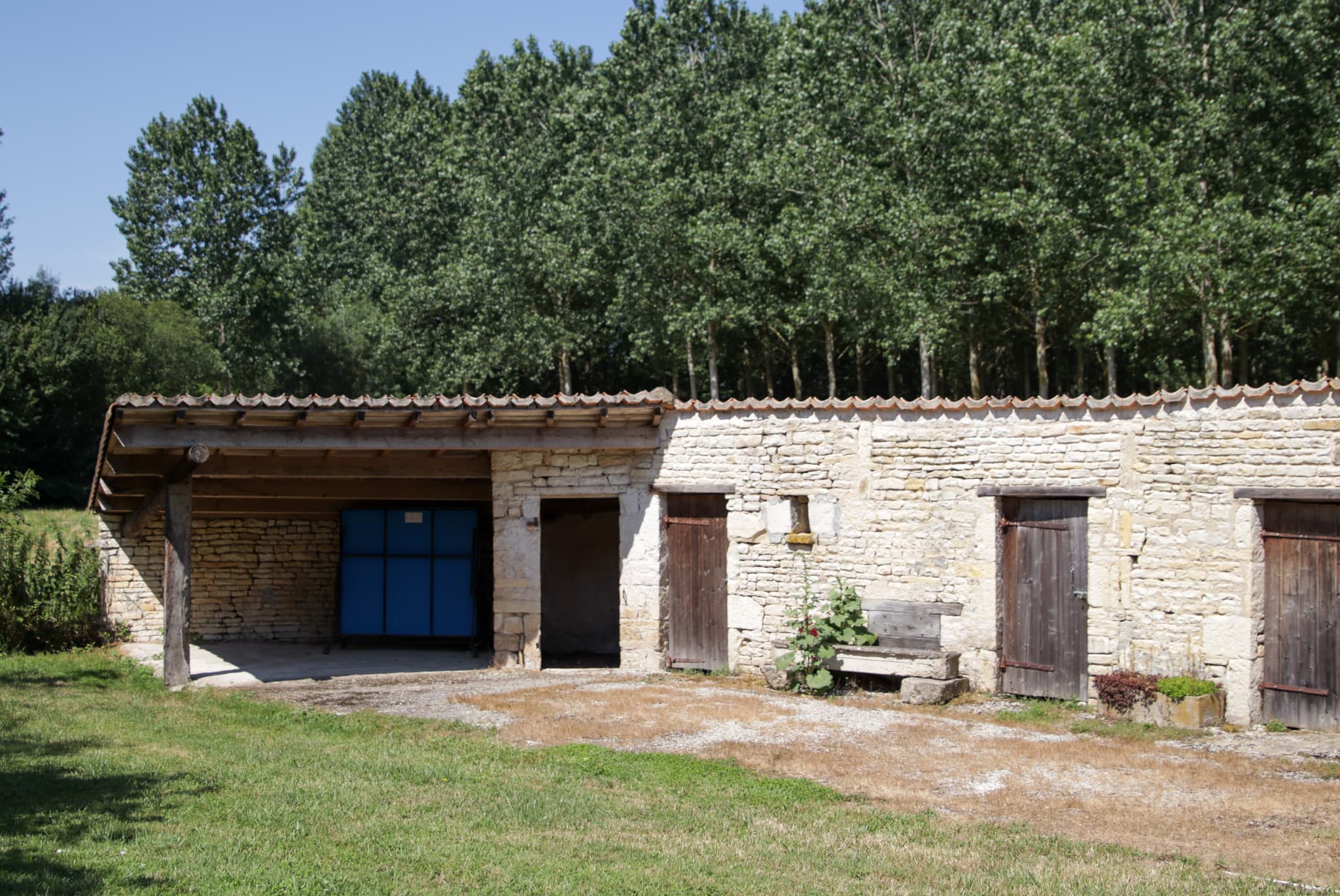 Vue sur les peupliers