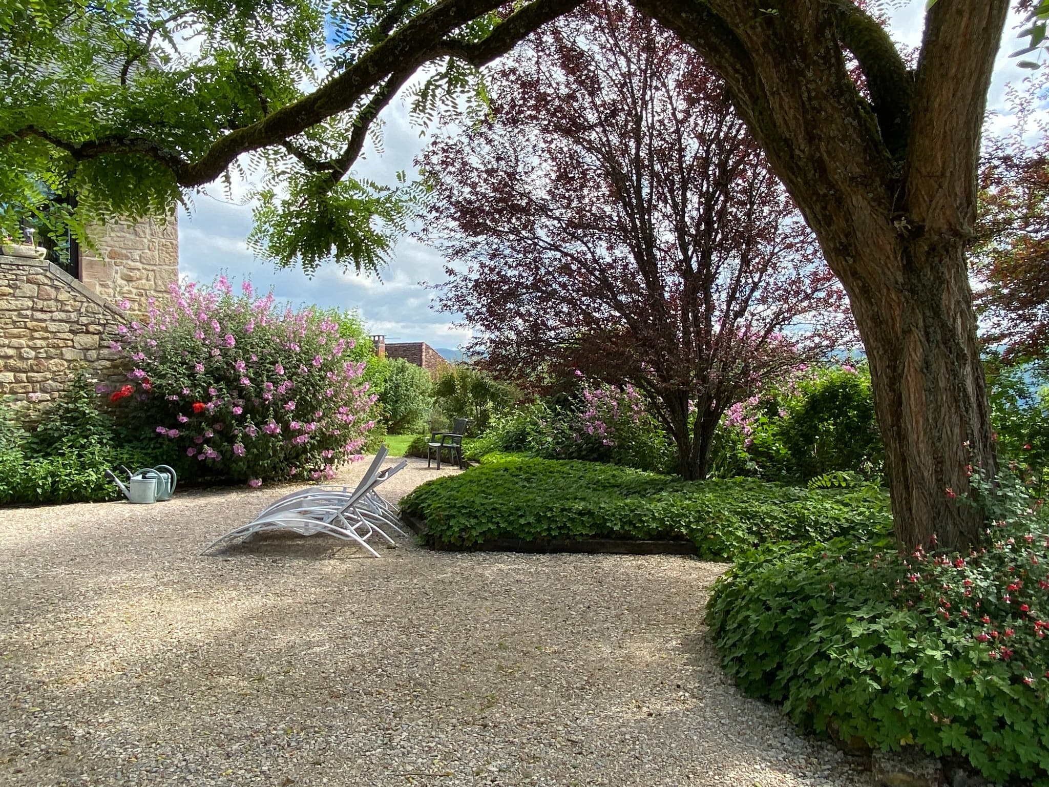 Le jardin_13