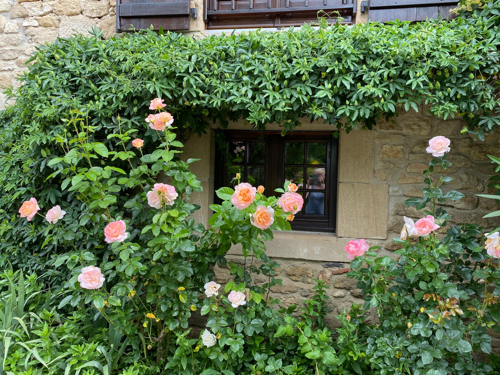 Les fleurs_14