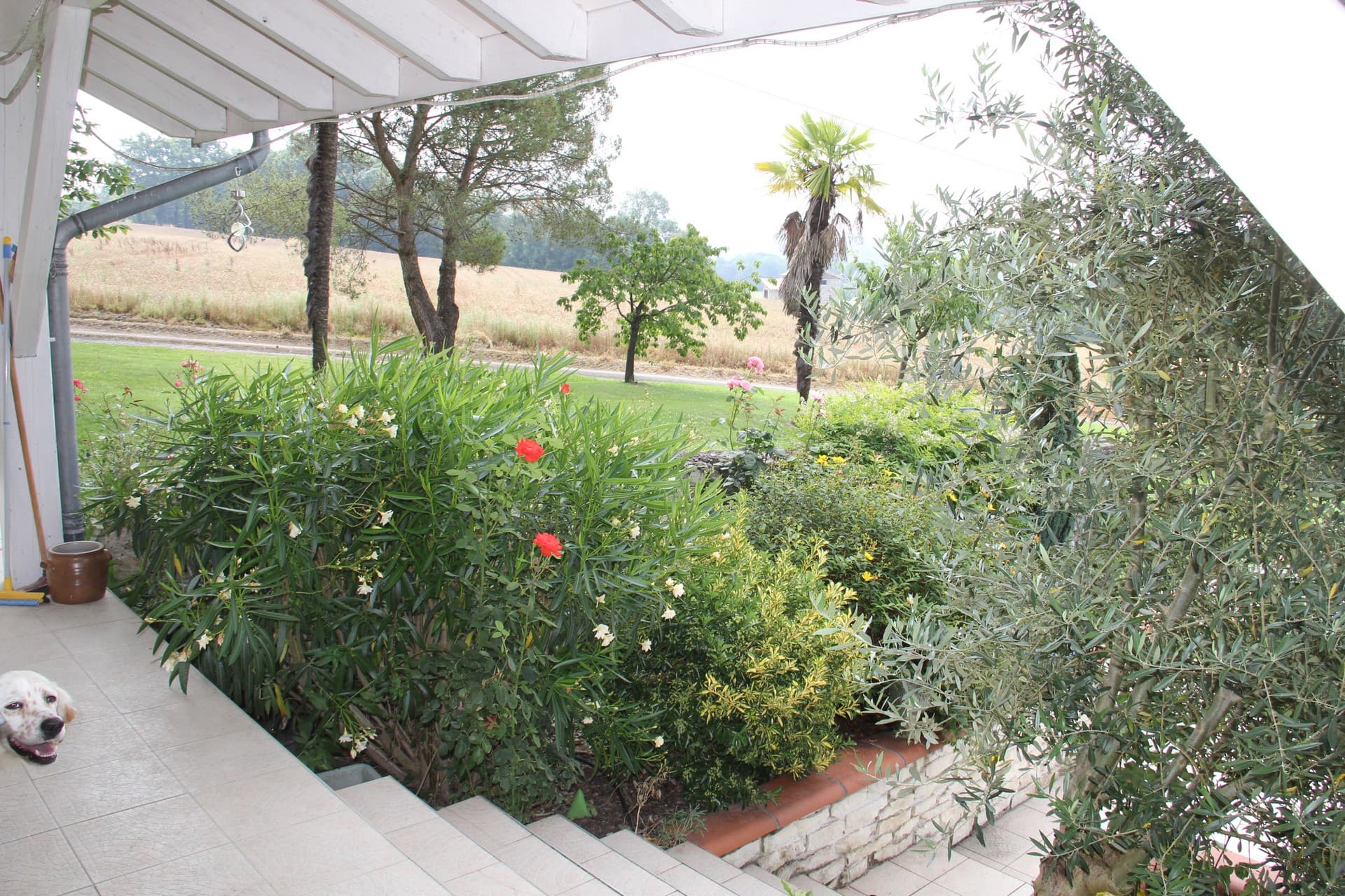 IMG-6414-2