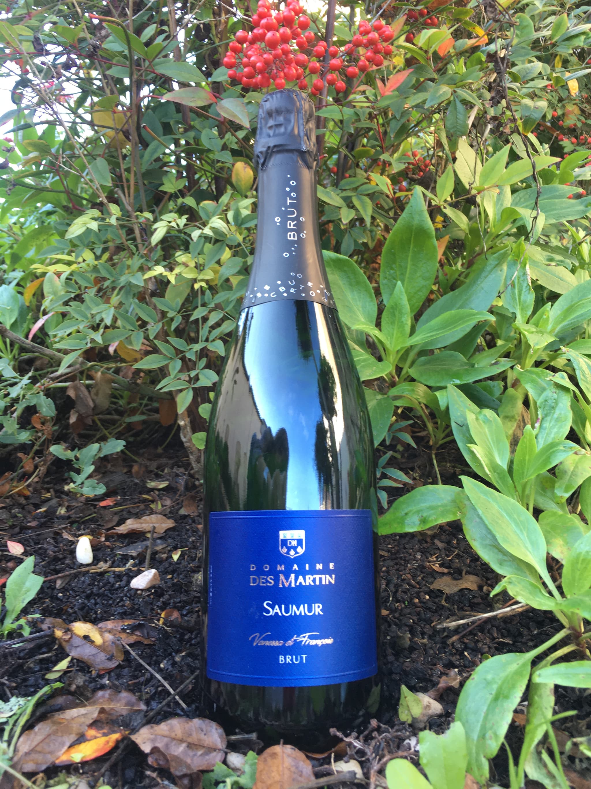 Domaine des martin viticulteur vins degustation Cersay Val en Vignes Thouarsais