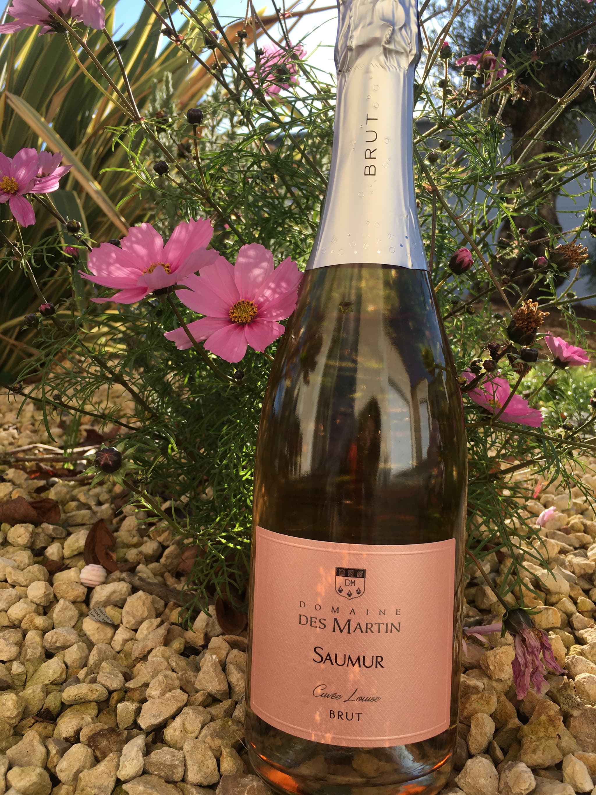 Domaine des martin viticulteur vins degustation Cersay Val en Vignes Thouarsais