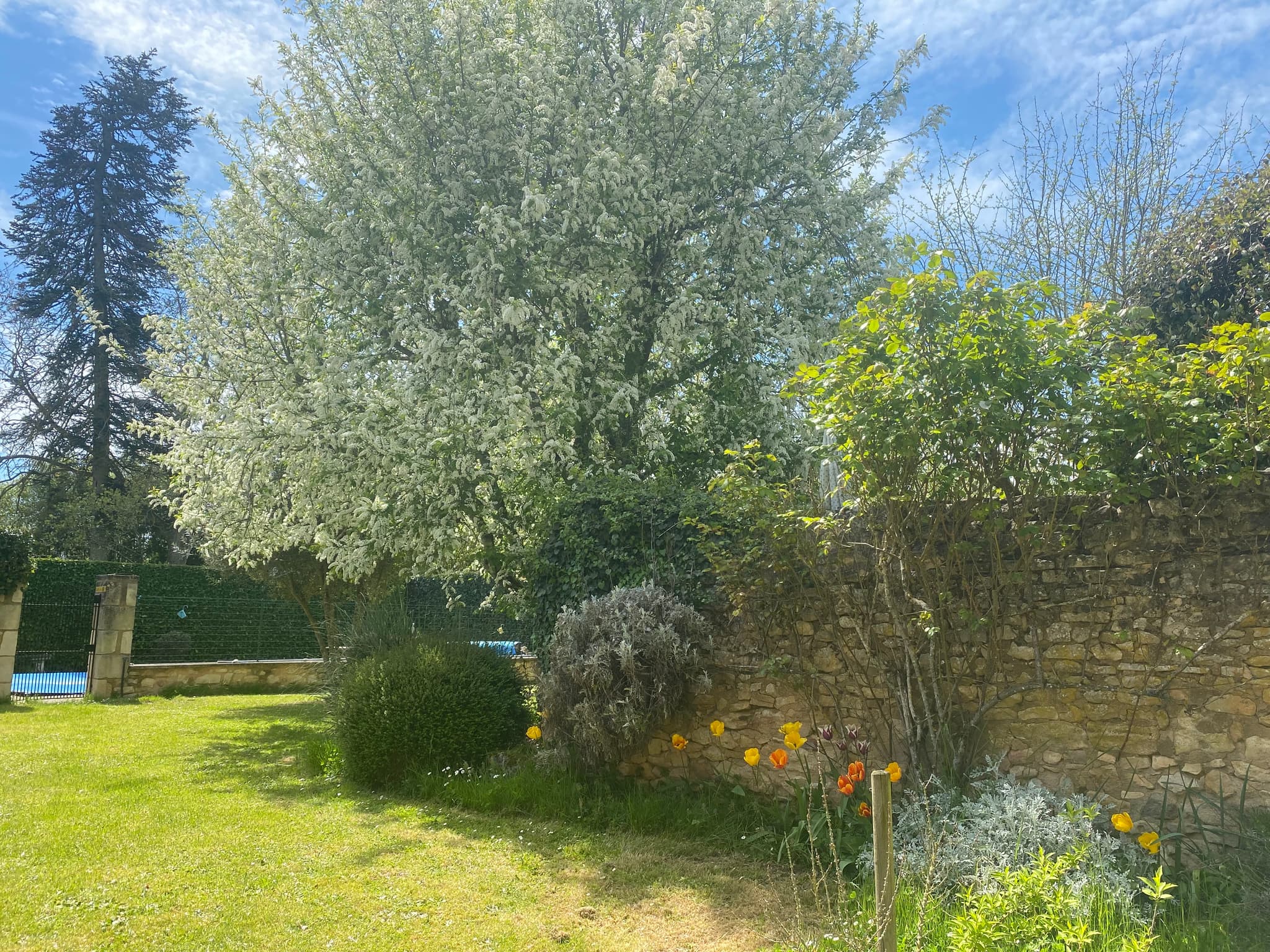 Jardin
