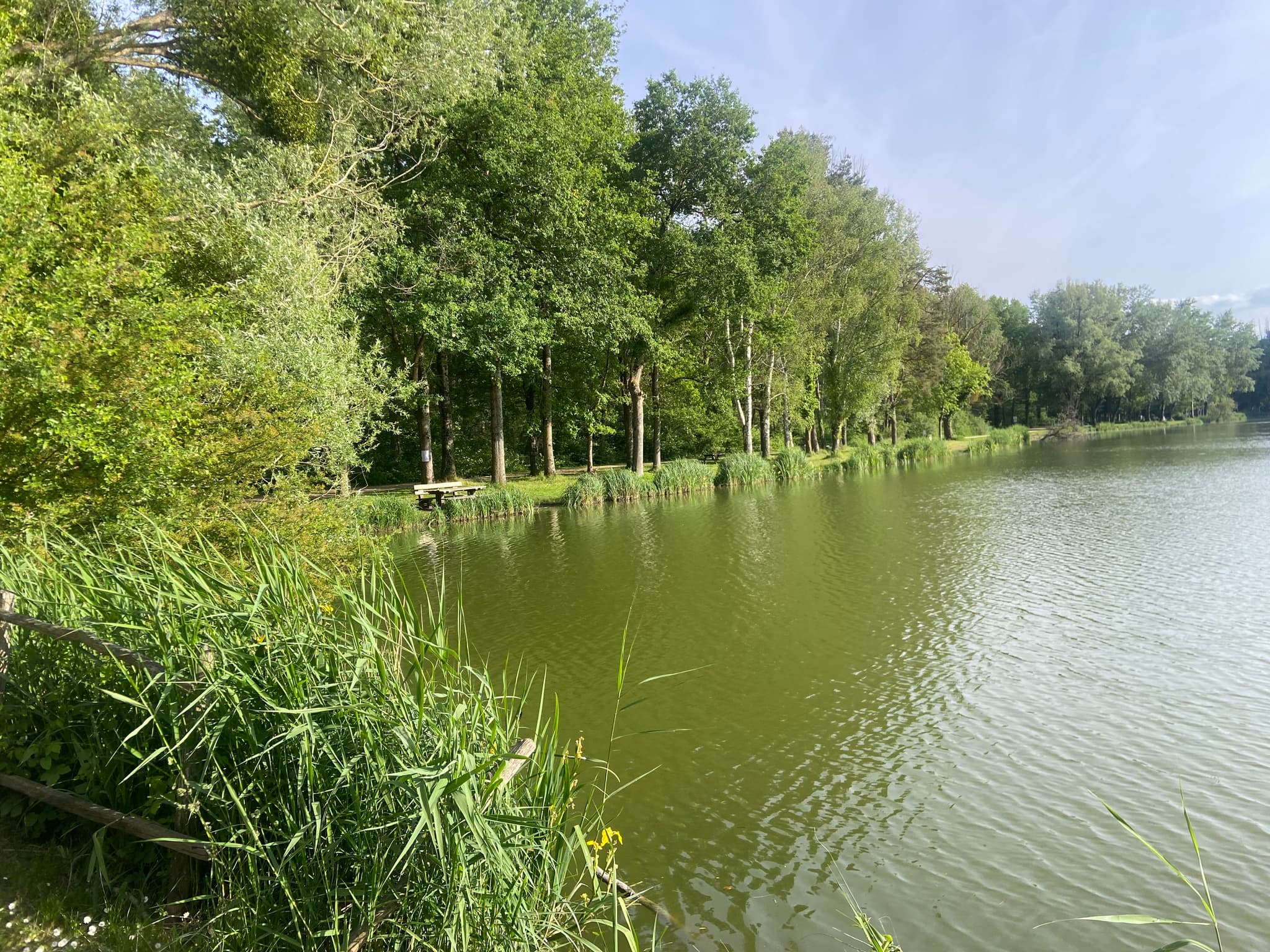 Etang de Guesnes