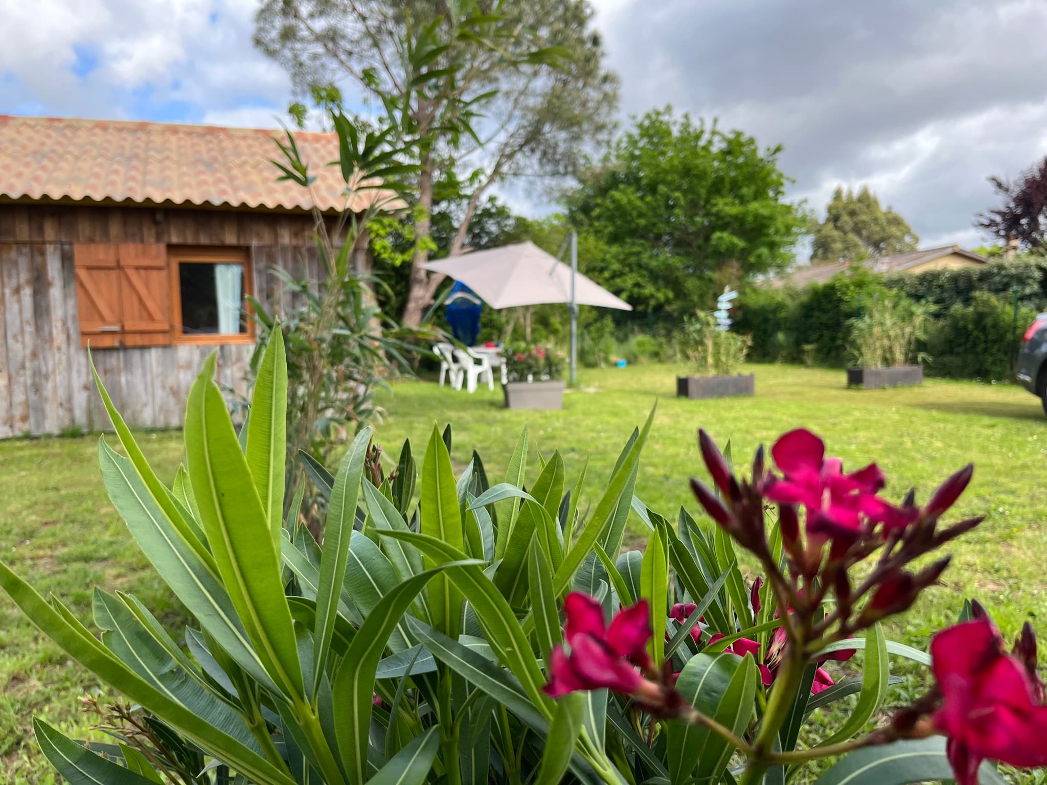 LA PETITE CABANE BLEUE PLANQUÉE DANS LA PRAIRIE