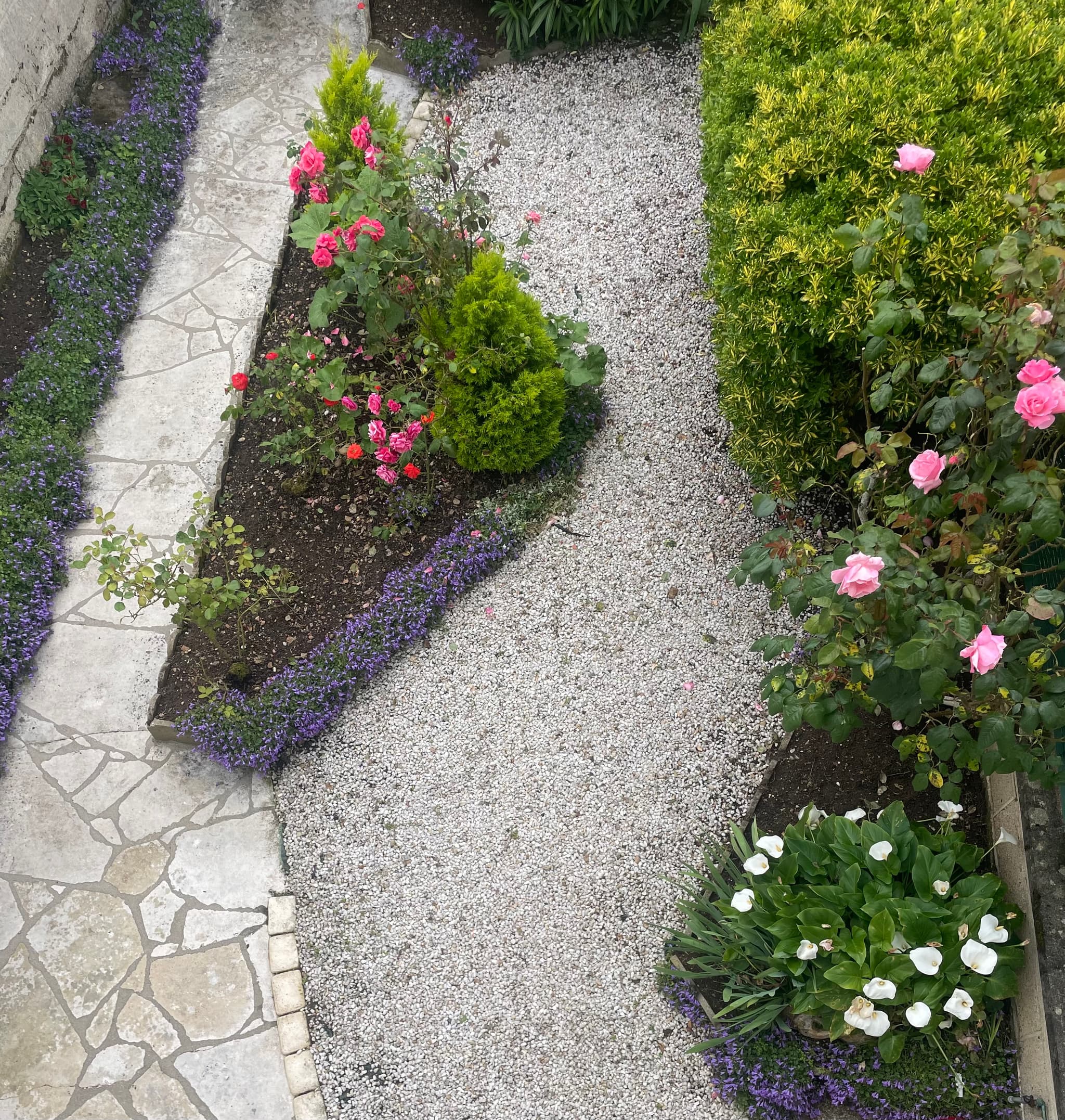 Jardinet clos à l'avant de la maison