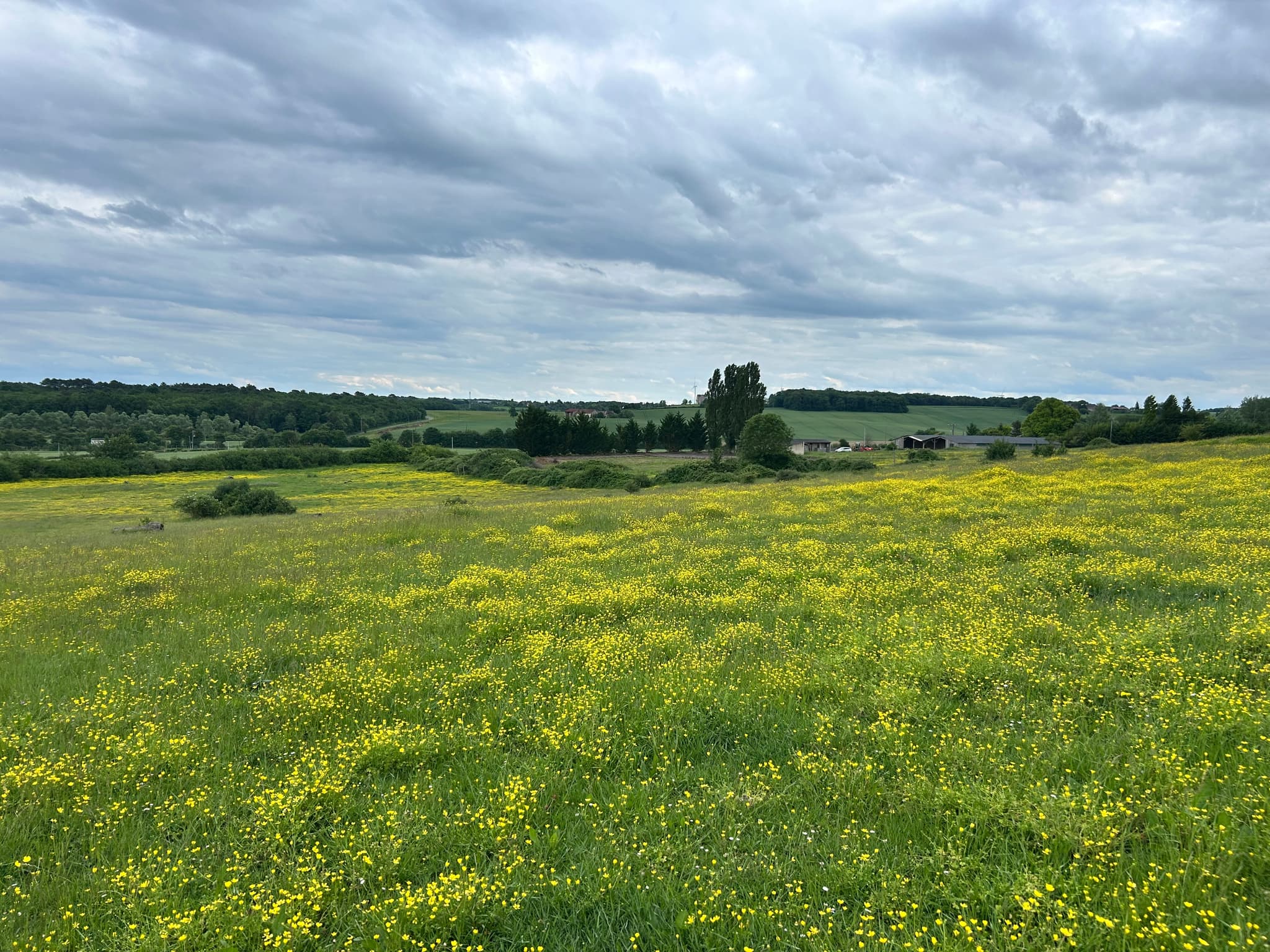 Vue du pré