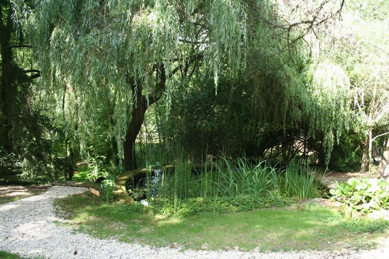 A fleur d'eau 3