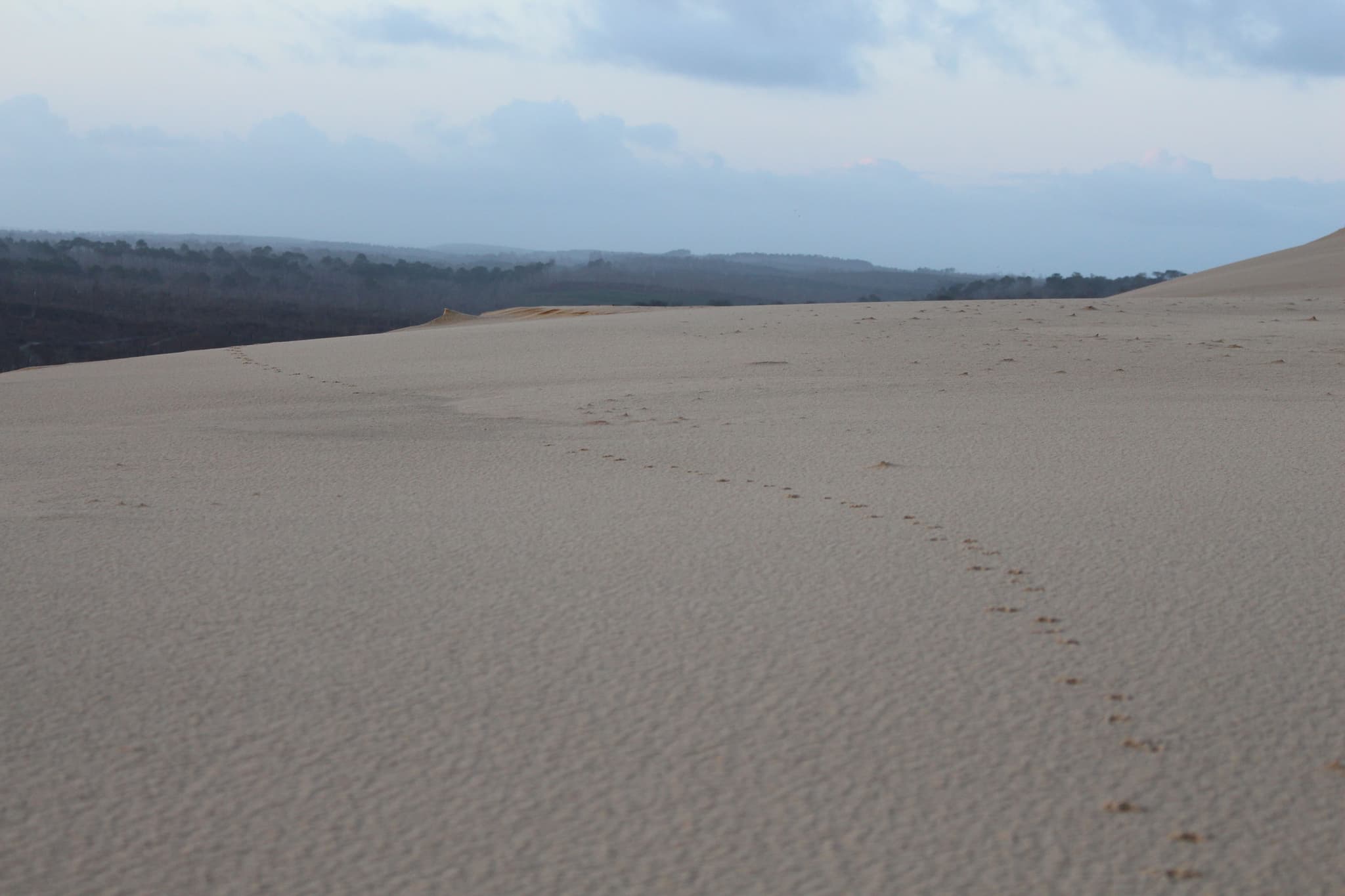 Empreintes sur le sable