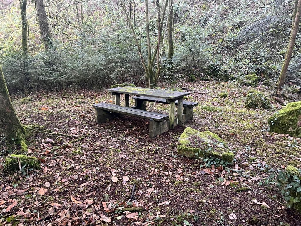 Table Pique-Nique