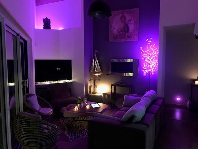 salon-ericnavarrosse-4