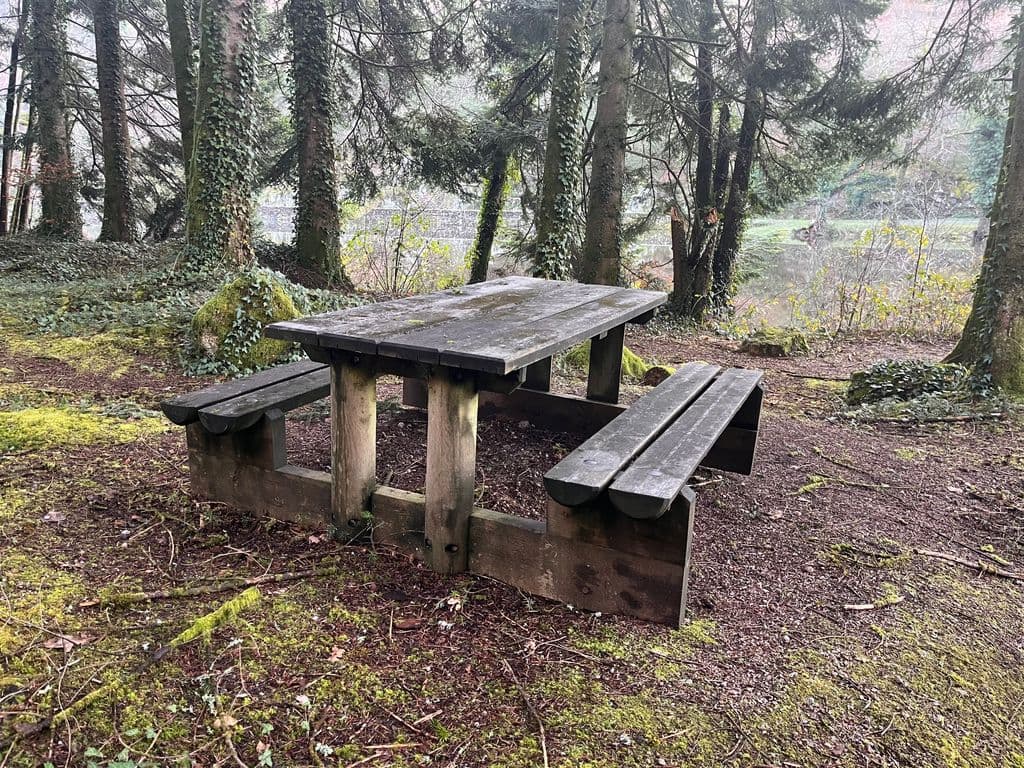 Table Pique-Nique