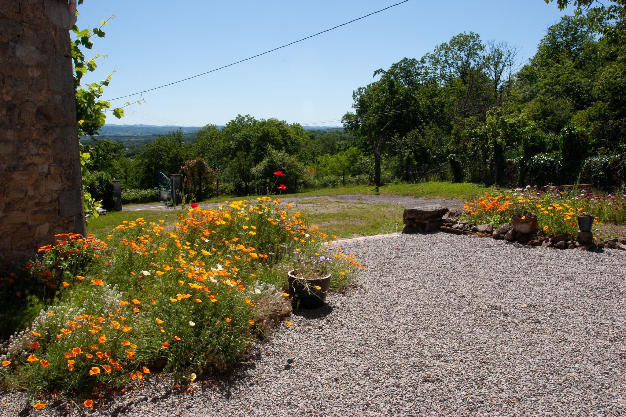 Vue