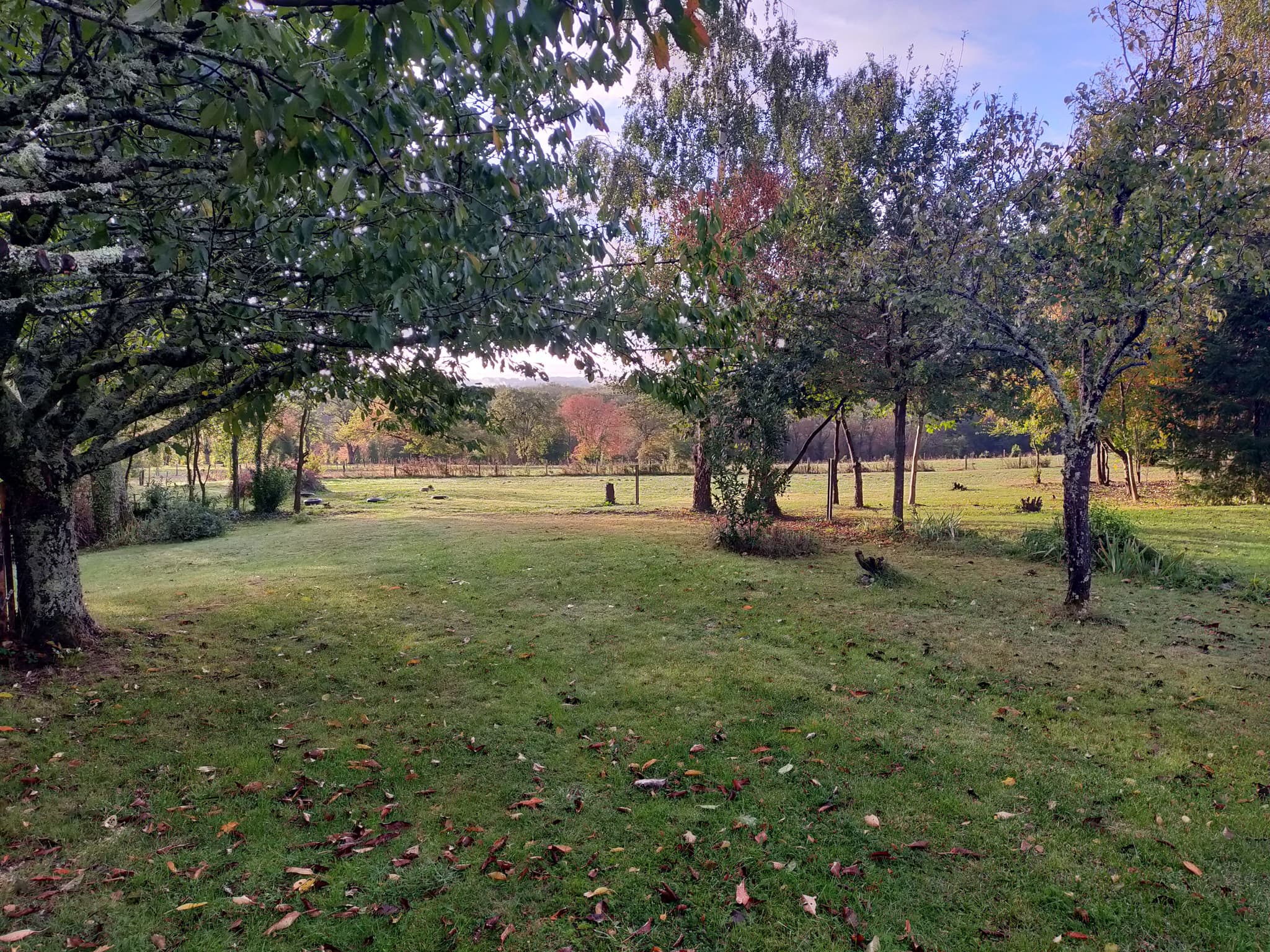 IMG20231024091814