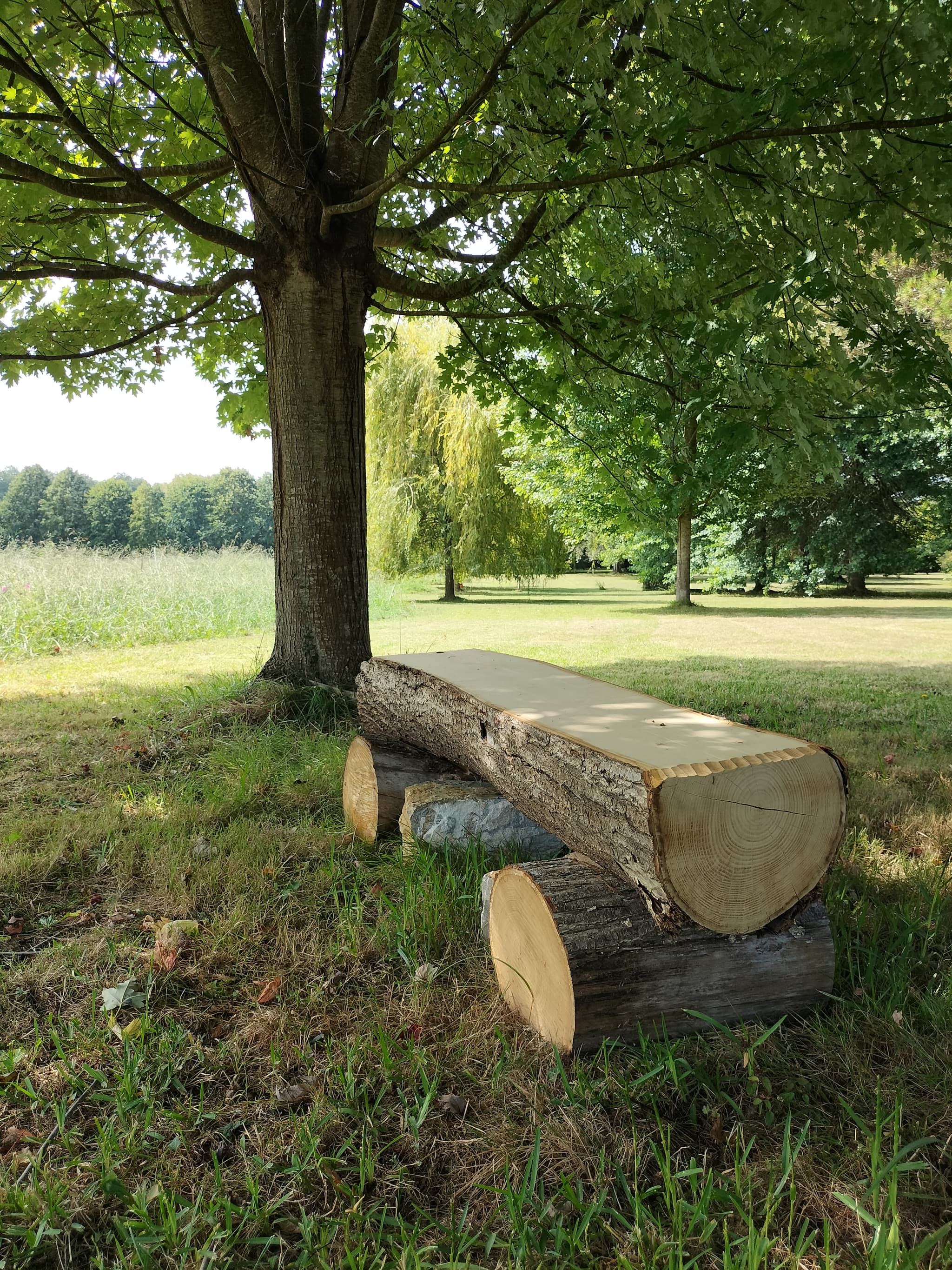 Parc au Manoir - foret comestible - domaine de bassilour bidart