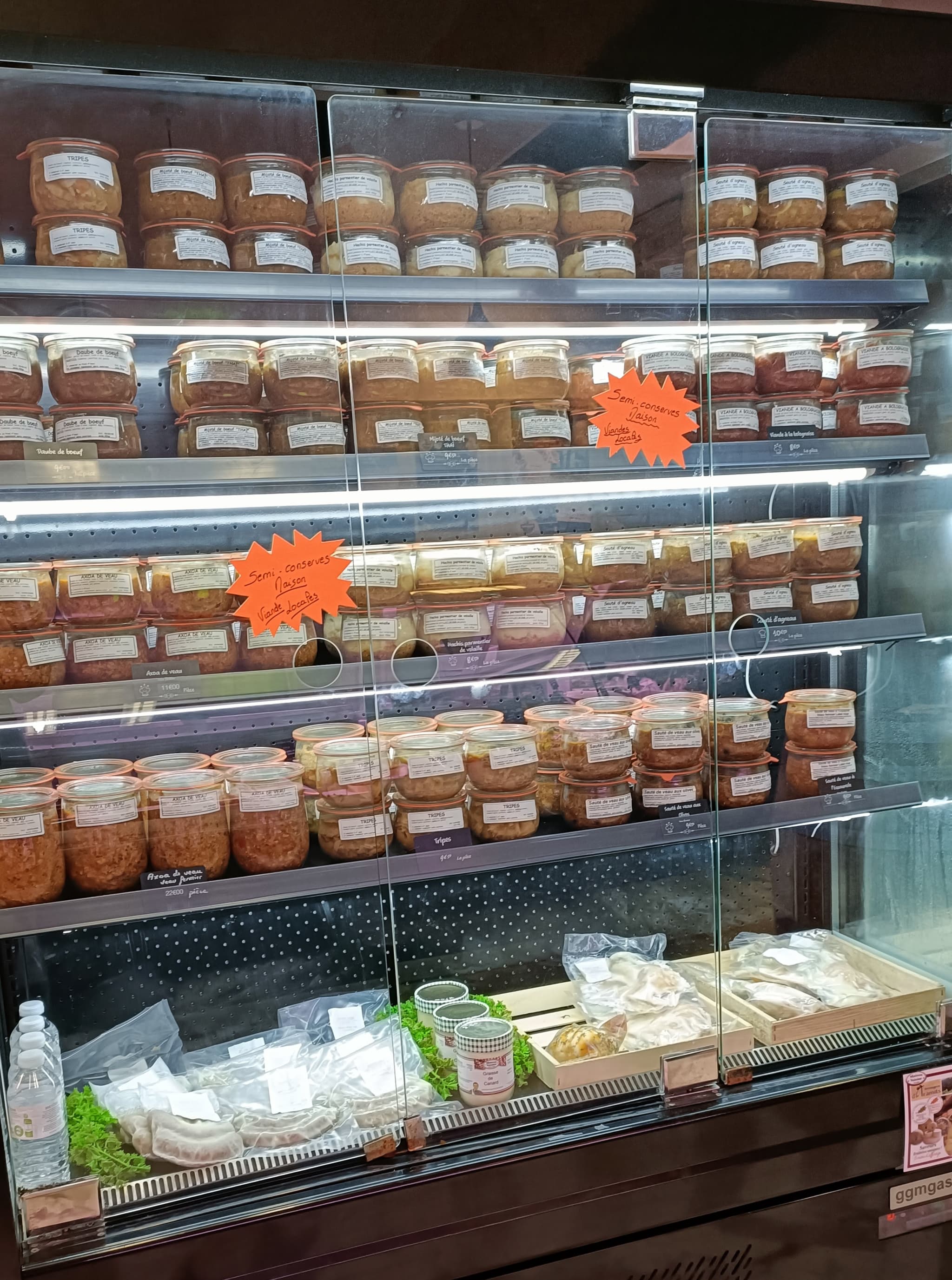 IMG20241119172008
