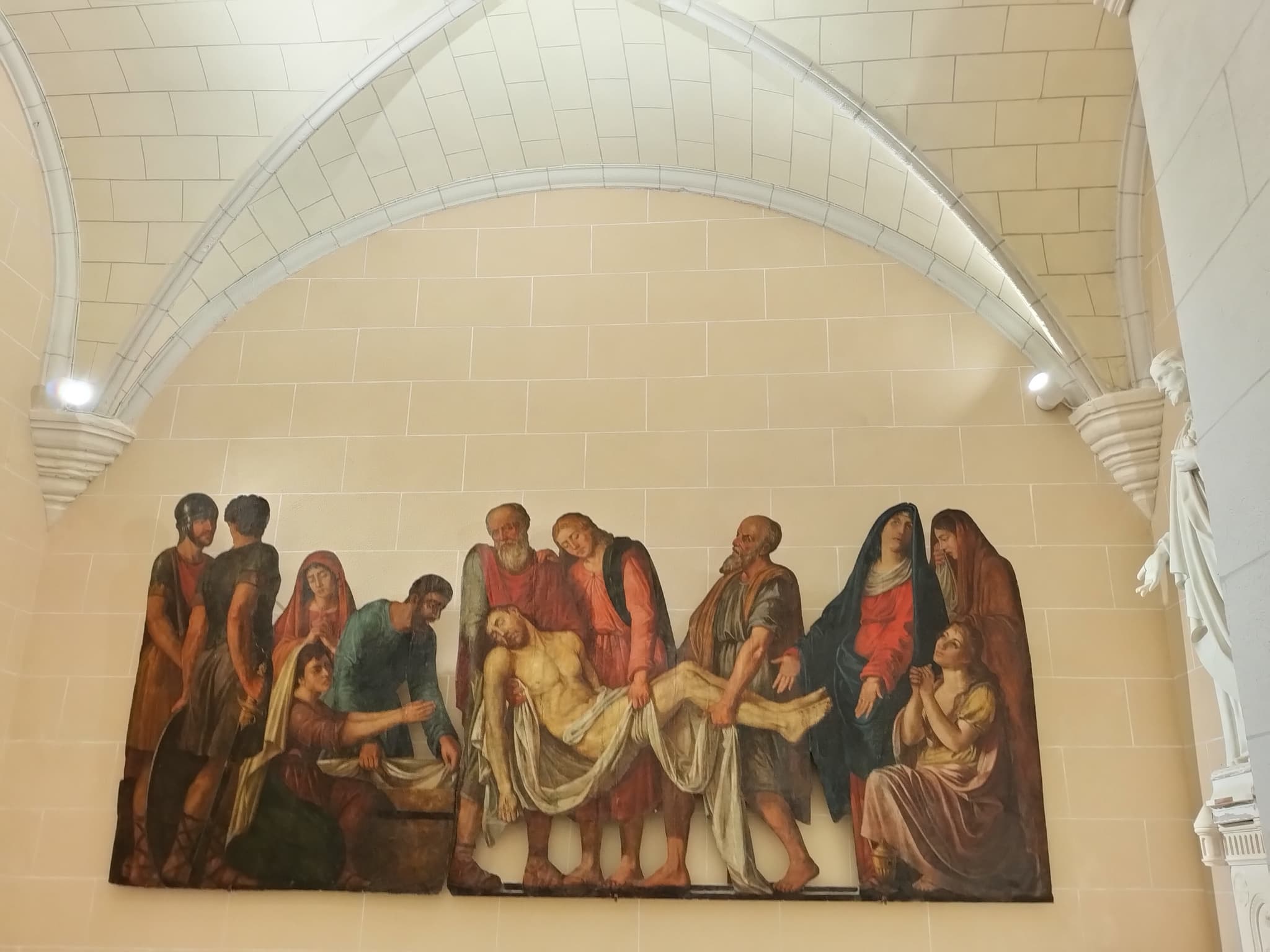 IMG20241121150638