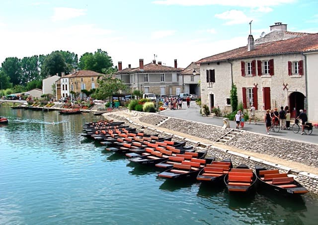 Coulon