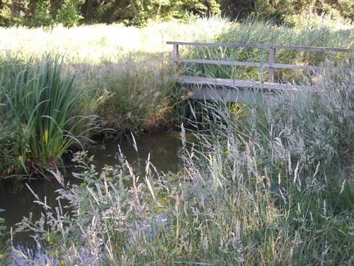 Etang de Moisan Messanges Landes Atlantique Sud
