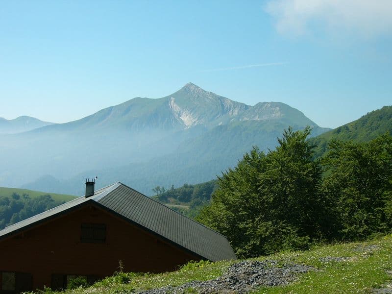IRASCH