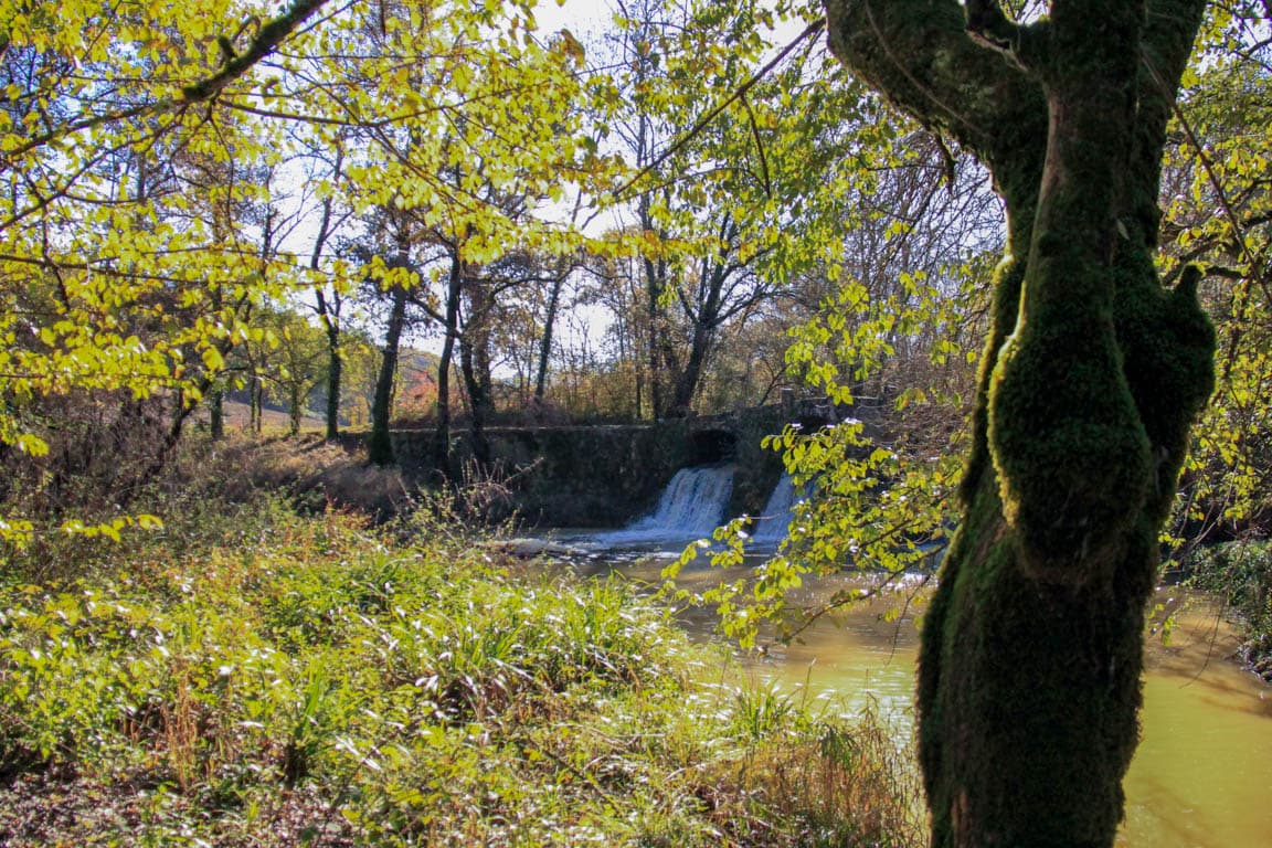 ITIAQU047FS000B5-Le-Frechou-8