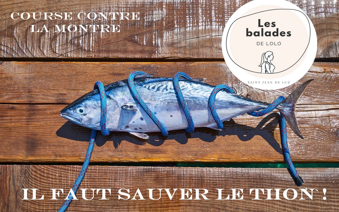 Il faut sauver le Thon