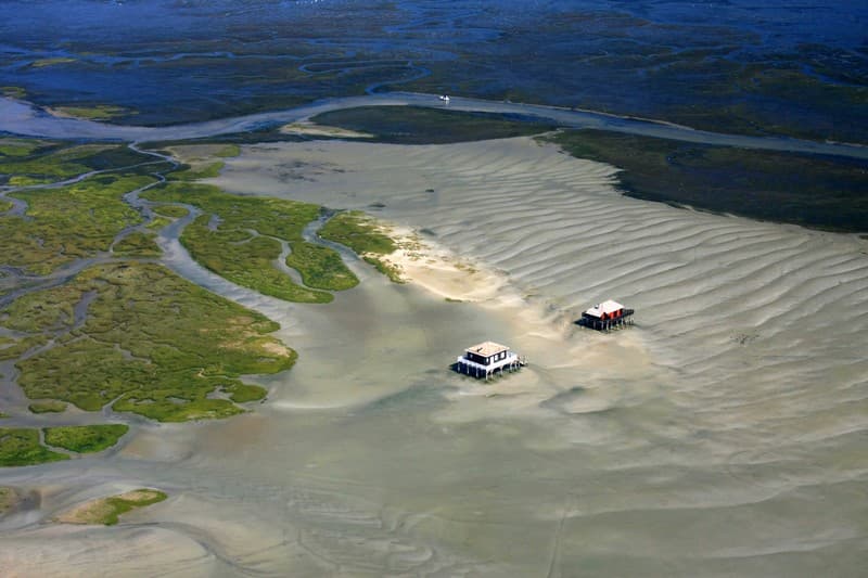 Ile aux oiseaux