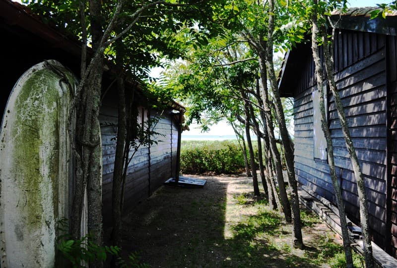 Ile aux oiseaux