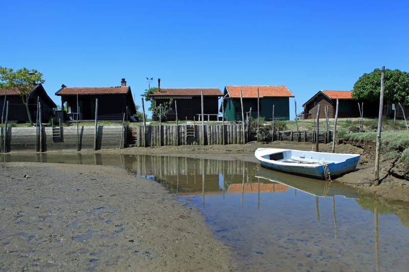 Ile aux oiseaux