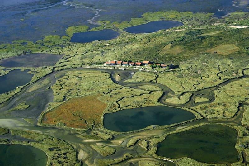 Iles aux oiseaux