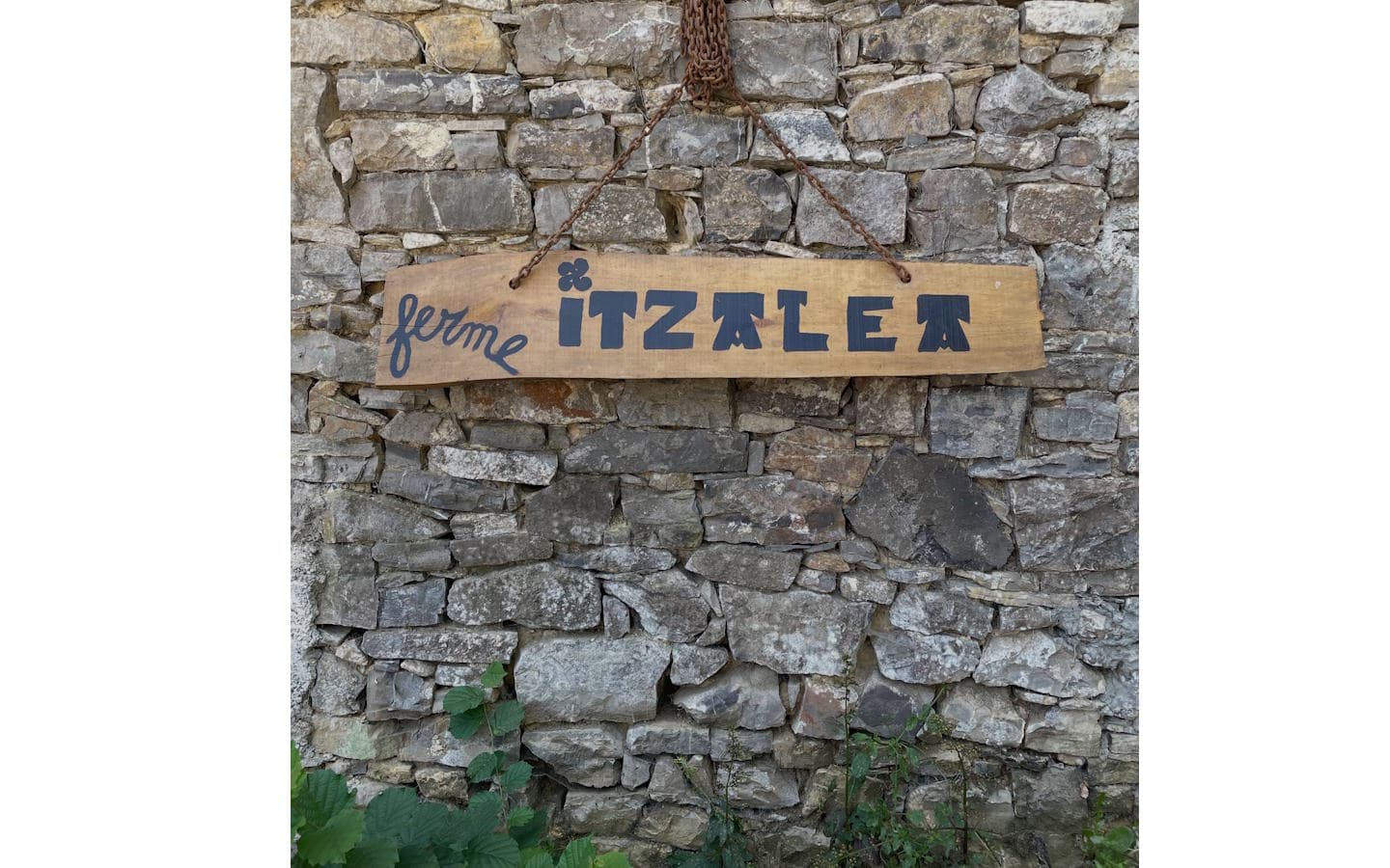 Itzalea