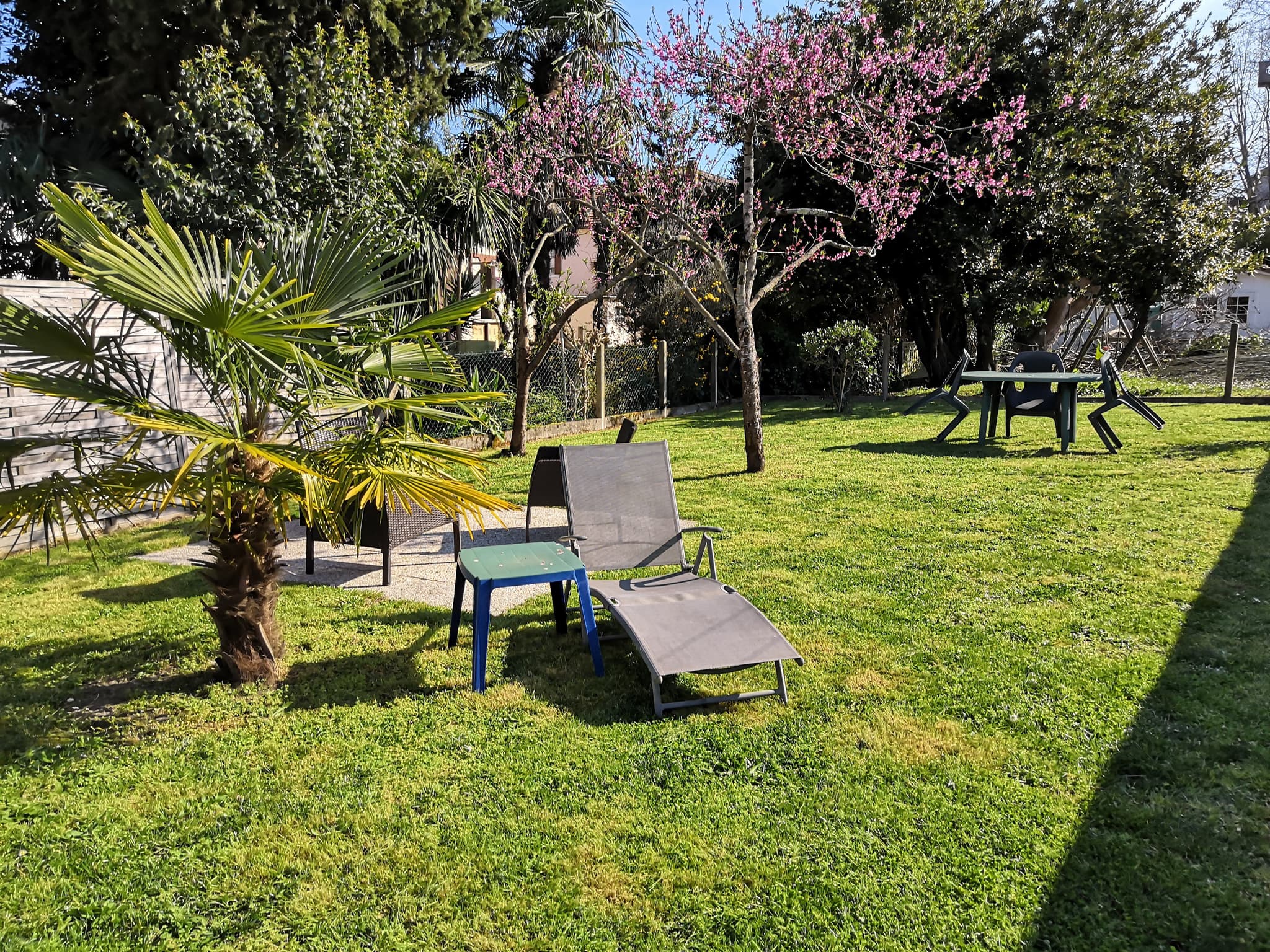 JARDIN 2