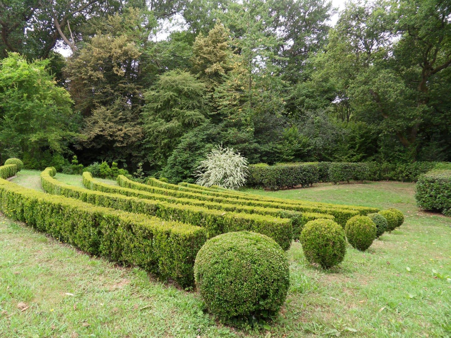 JARDIN~2