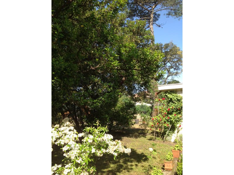 JARDIN-2015