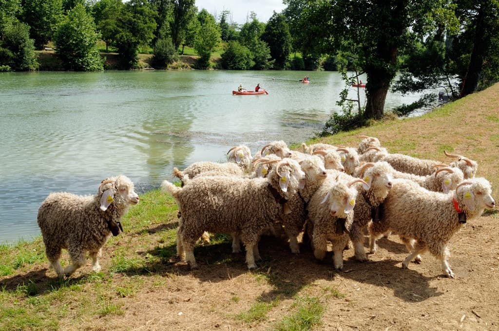 L'Adour