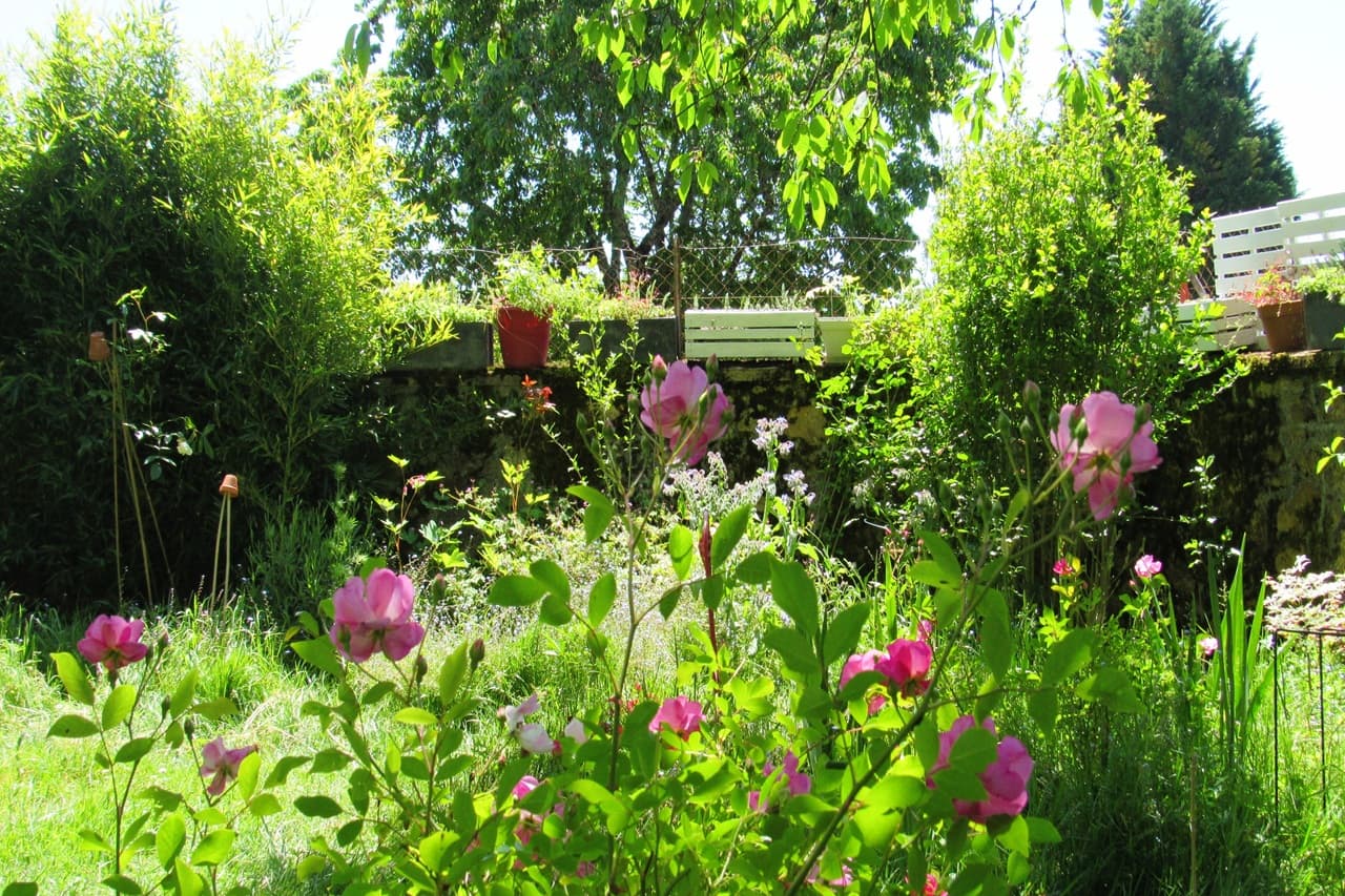 Jardin Fauves - Vayres