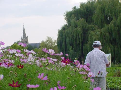Les jardins familiaux dits "mottes"